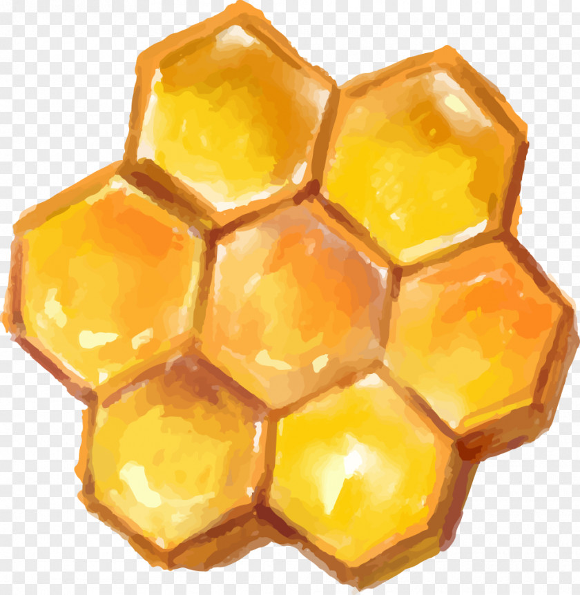 Honey Bees Decorative Elements Bee Honeycomb PNG