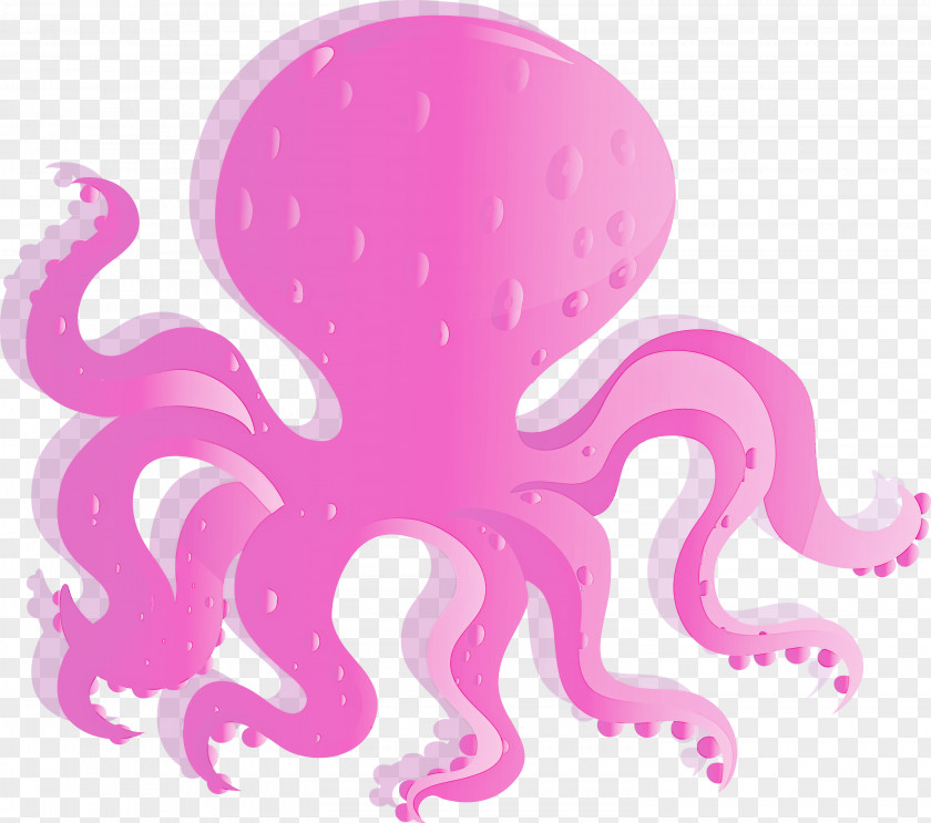 Octopus Giant Pacific Pink Material Property PNG