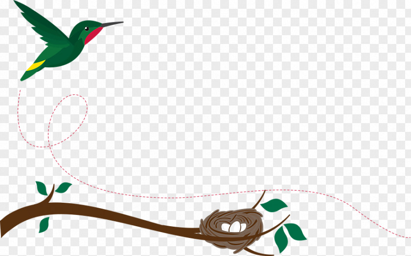 Hummingbird Feeder Machine Embroidery The Amazing Design PNG