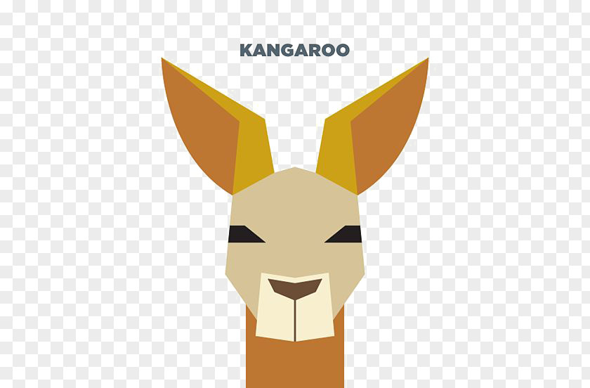 Kangaroo Pop Art Graphic Design Illustration PNG