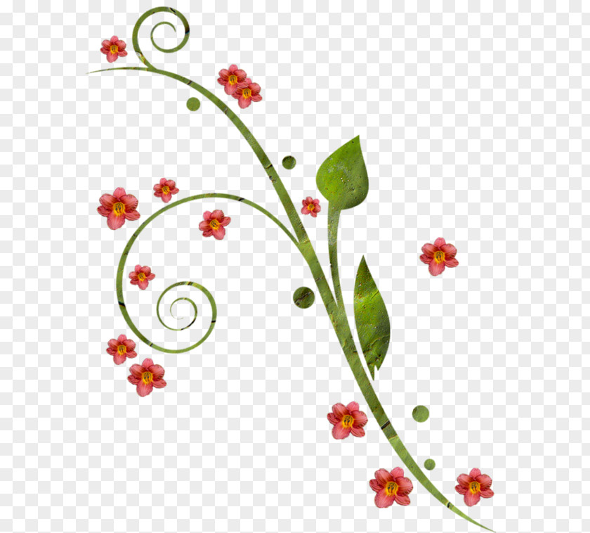 Painting Floral Design Ornament PNG