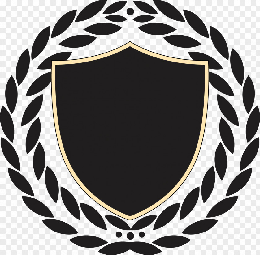 Shield Pattern Icon PNG