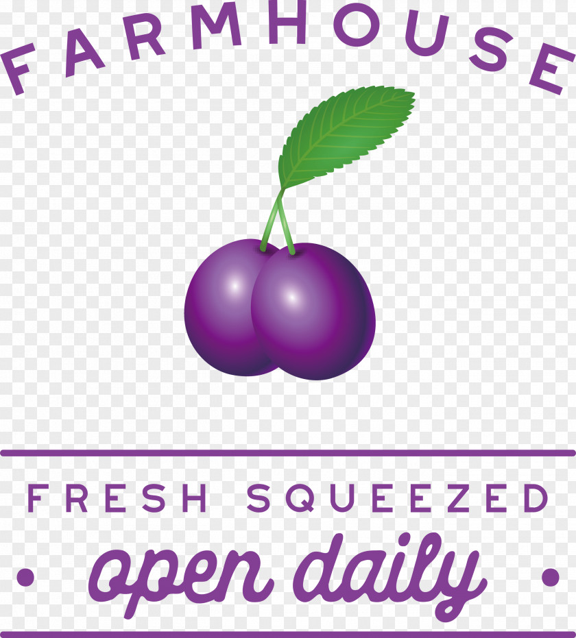 Farmhouse Fresh Squeezed Open Daily PNG