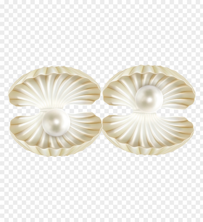 Pearl Shell Vector Material Seashell Euclidean PNG