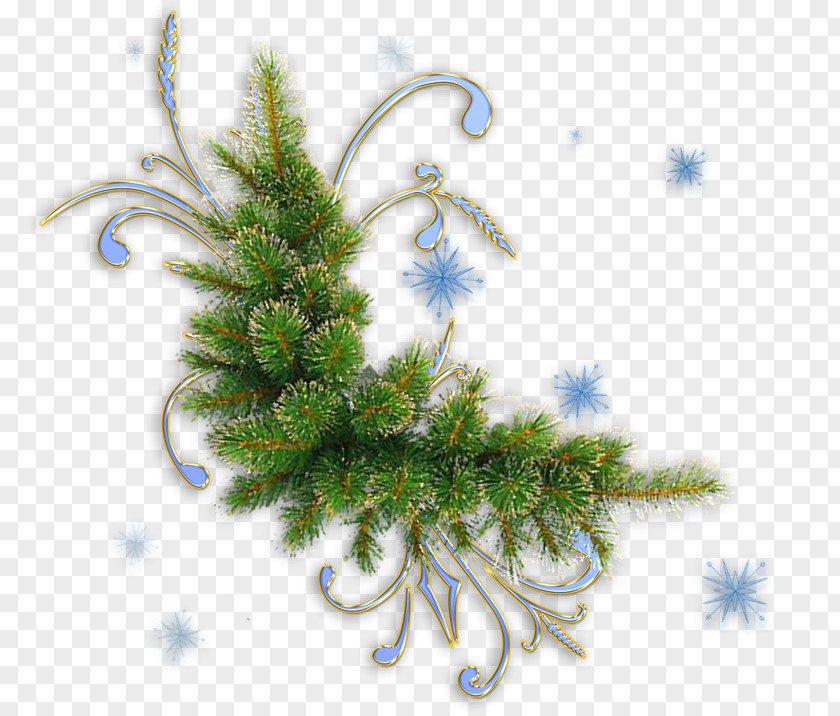 Pine Boughs Christmas Clip Art PNG