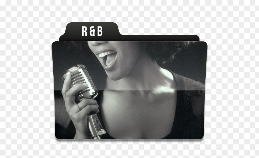 RB 1 Microphone PNG