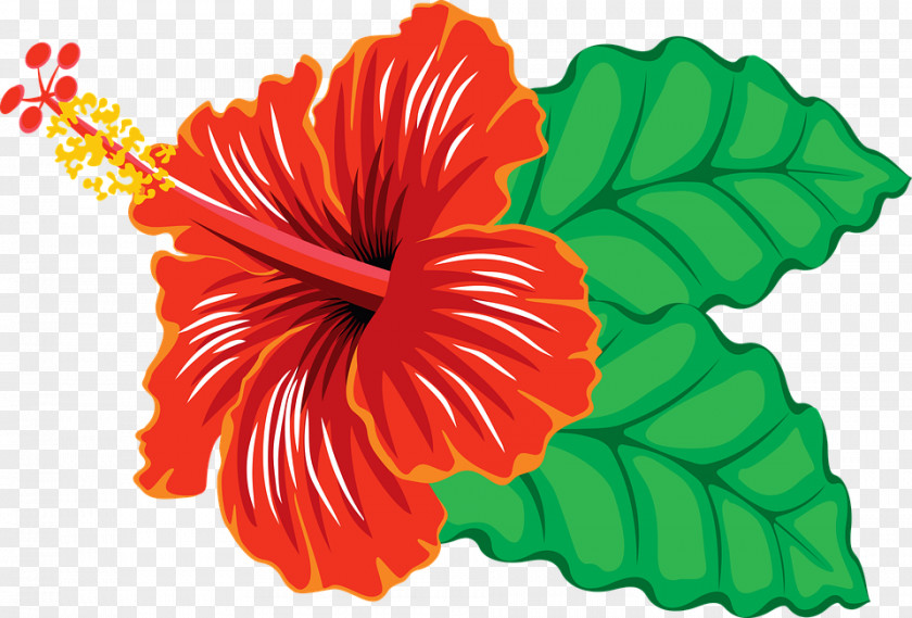 Tropical Leaf Yellow Hibiscus Clip Art PNG