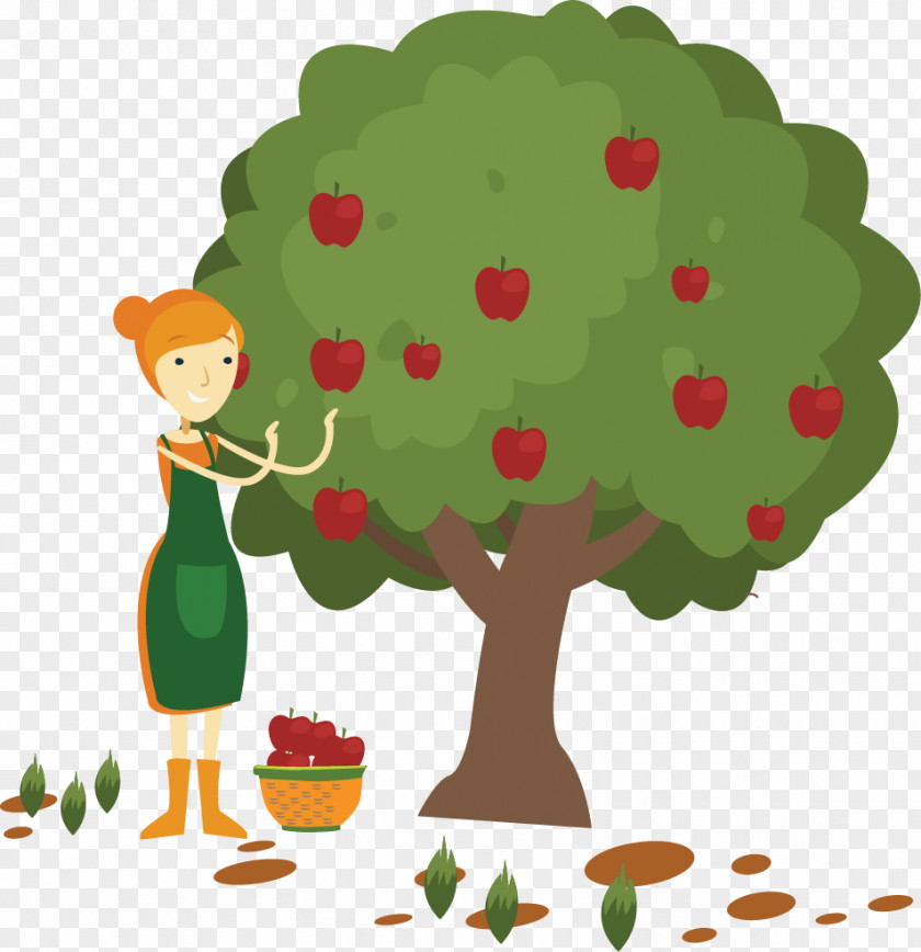 Vector Painted Apple-picking Apple Fruit Picking Clip Art PNG