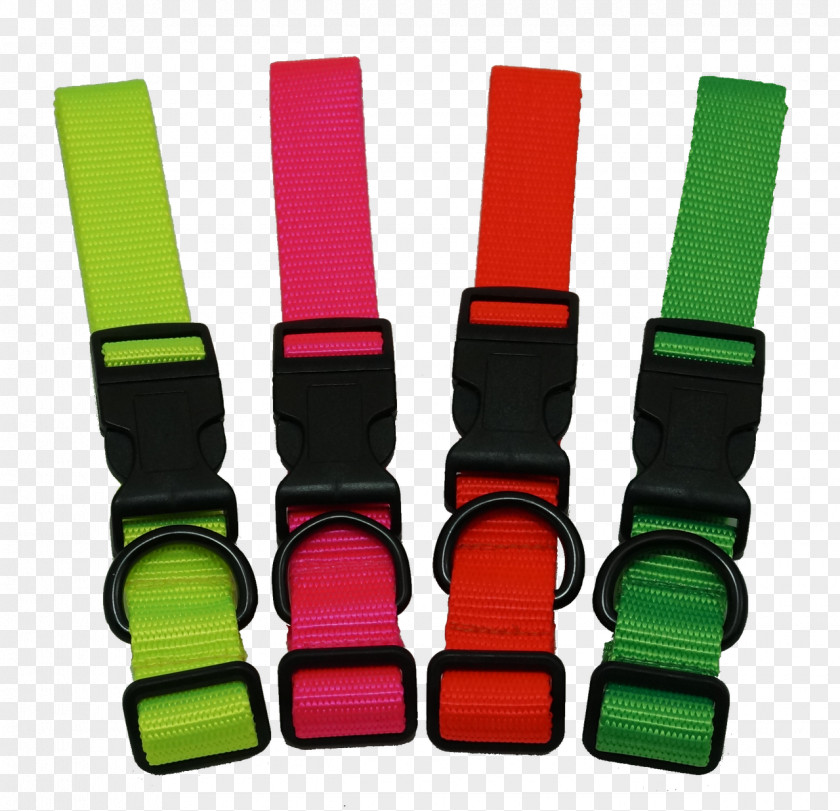 Yellow Dried Material Orange Collar Green Blue PNG