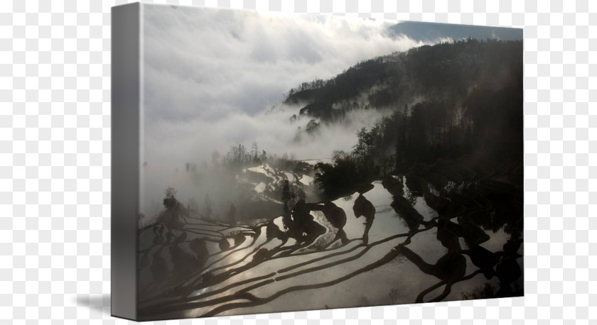 Rice Terrace Watercolor Painting Picture Frames Tree Sky Plc PNG