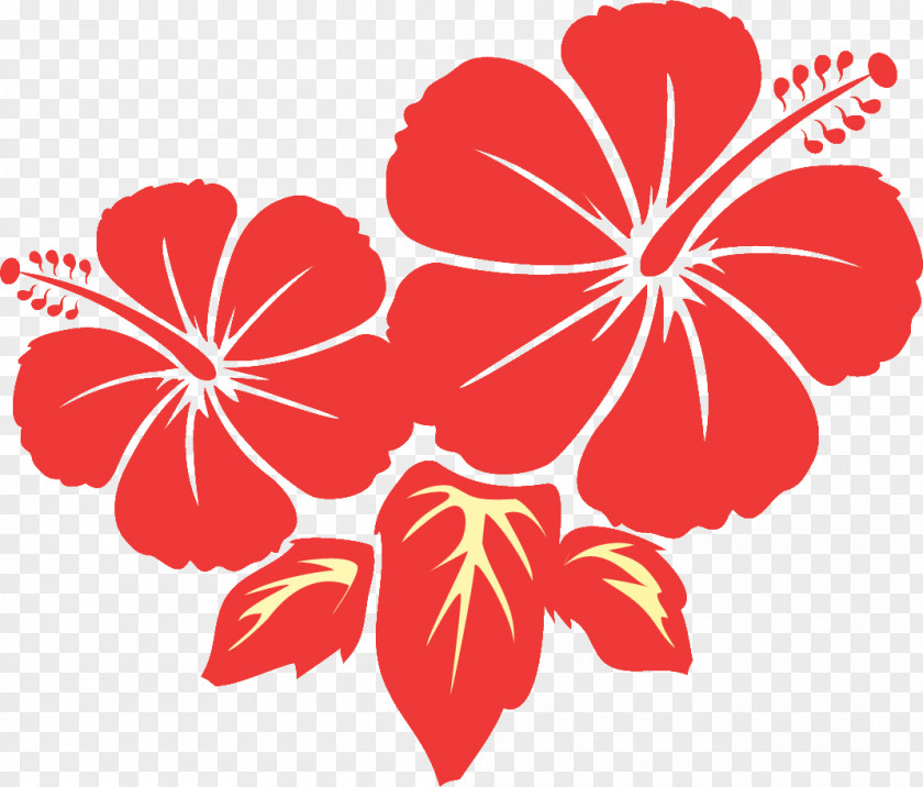 Flower Hibiscus Clip Art PNG