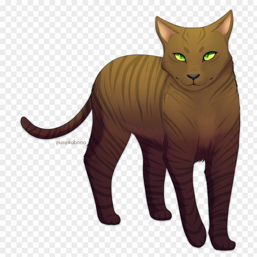 Mud Cat DeviantArt Drawing Whiskers PNG