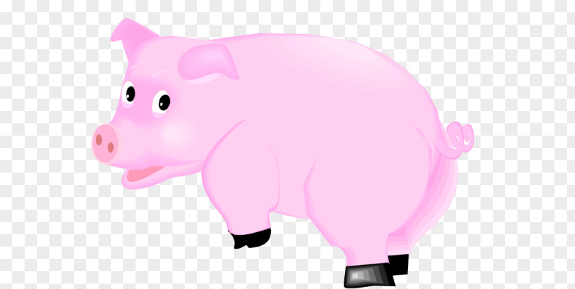 Purple Piggy Domestic Pig PNG