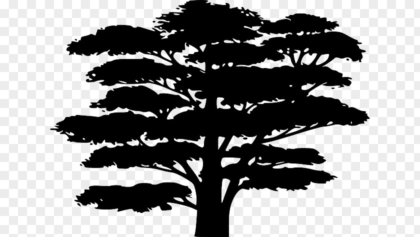 Tree Japan Silhouette This I Call To Mind PNG