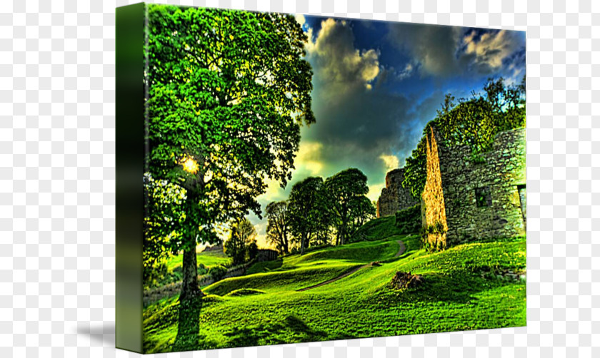 Castle Dundrum Canvas Print Art Printing PNG