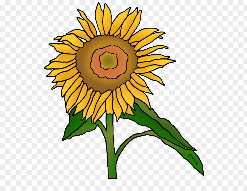 Flower Common Sunflower Kansas Floral Design Clip Art PNG