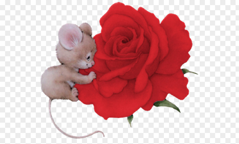 Mouse Tubes Happiness Wish Day Hug Garden Roses PNG