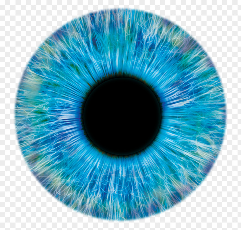Pupil Eye Iris Pupillometry PNG