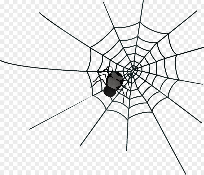 Spider Web Halloween PNG