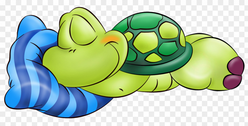 Turtle Mother Greeting & Note Cards Wish Good PNG