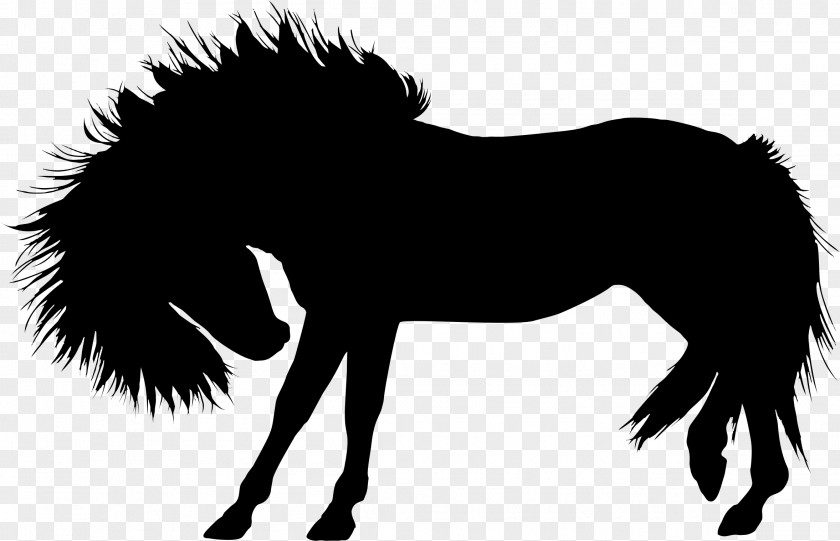Animal Silhouettes Wild Horse Stallion Silhouette Clip Art PNG