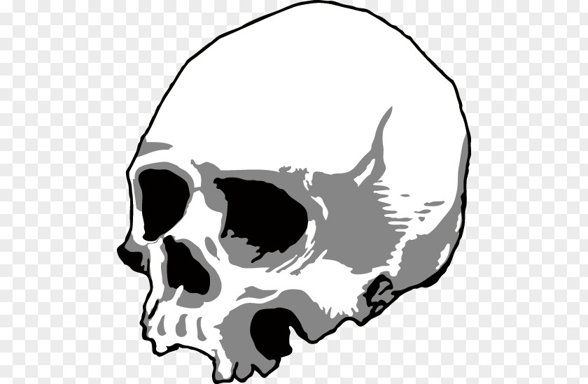 Black Skull Head Skeleton Silhouette U9ab7u9ac5 PNG
