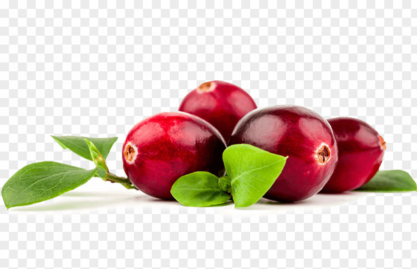 Cranberry Juice Lingonberry Food PNG