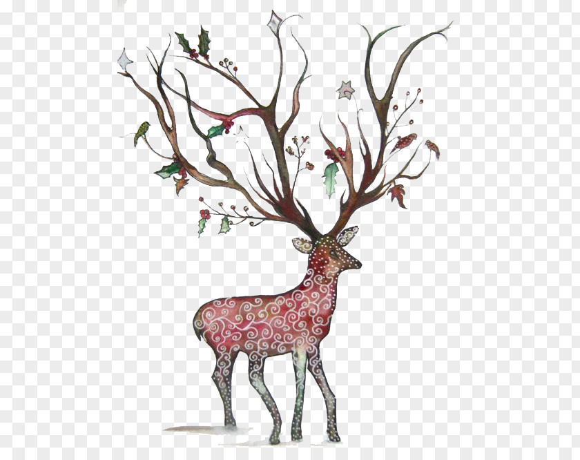 Deer Cartoon Illustration PNG