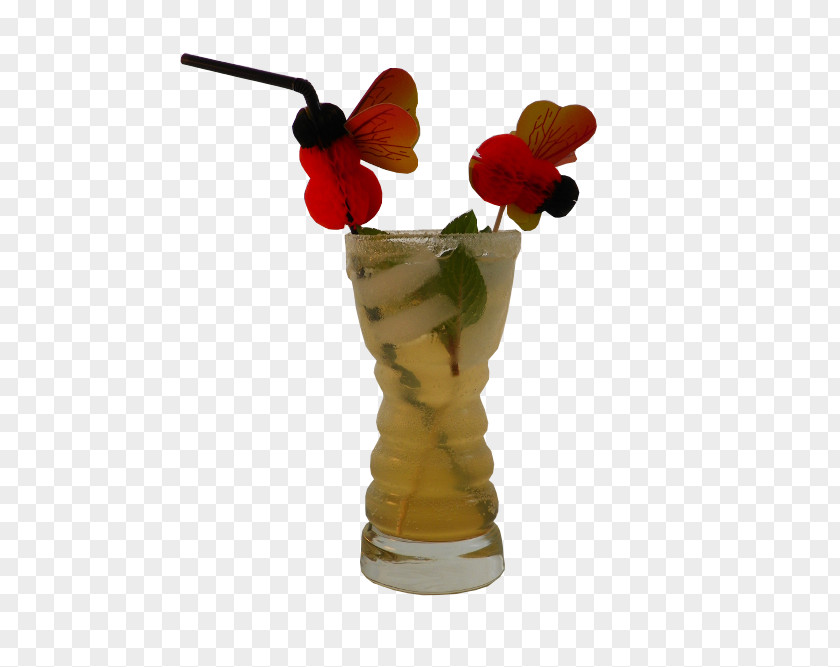 Fruit Cocktail Garnish Liqueur Mai Tai Wine PNG