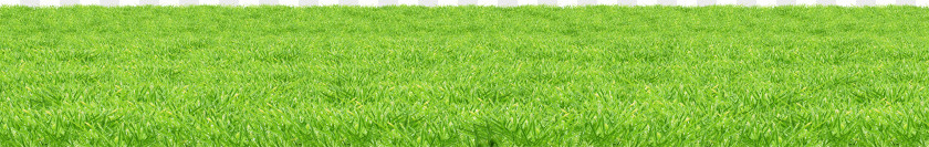 Grass Image Green Picture Lawn Download PNG