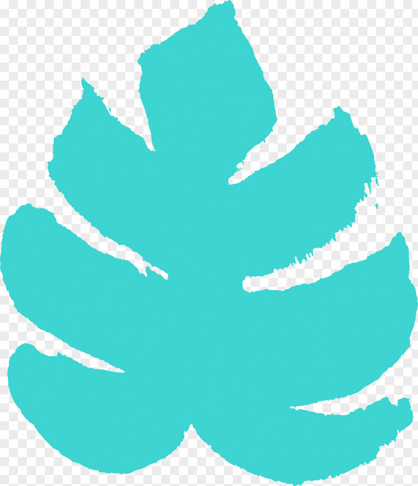 Green Turquoise Aqua Leaf Teal PNG