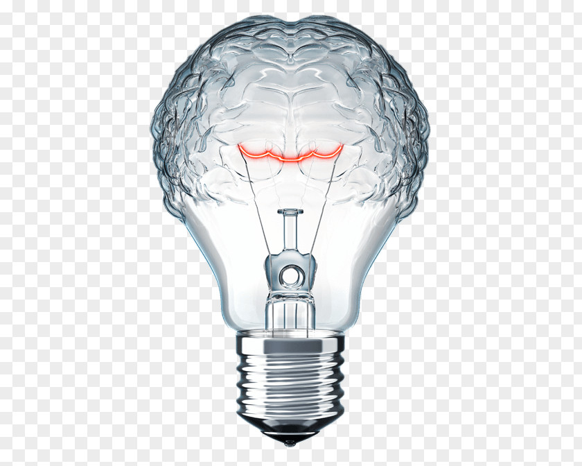Light Bulb Brain Management Organization Neuroscience Industry Marketing PNG