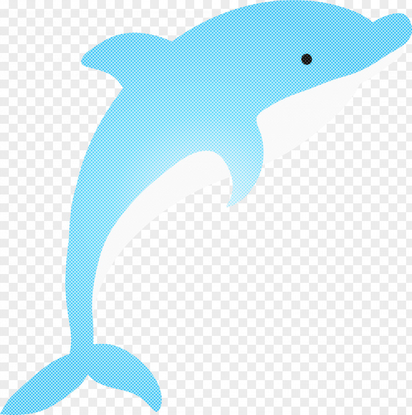 Dolphin Bottlenose Fin Cetacea Animal Figure PNG