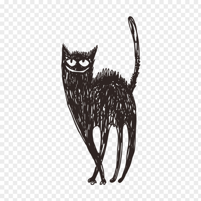Doodle Cat Black Drawing Illustration PNG
