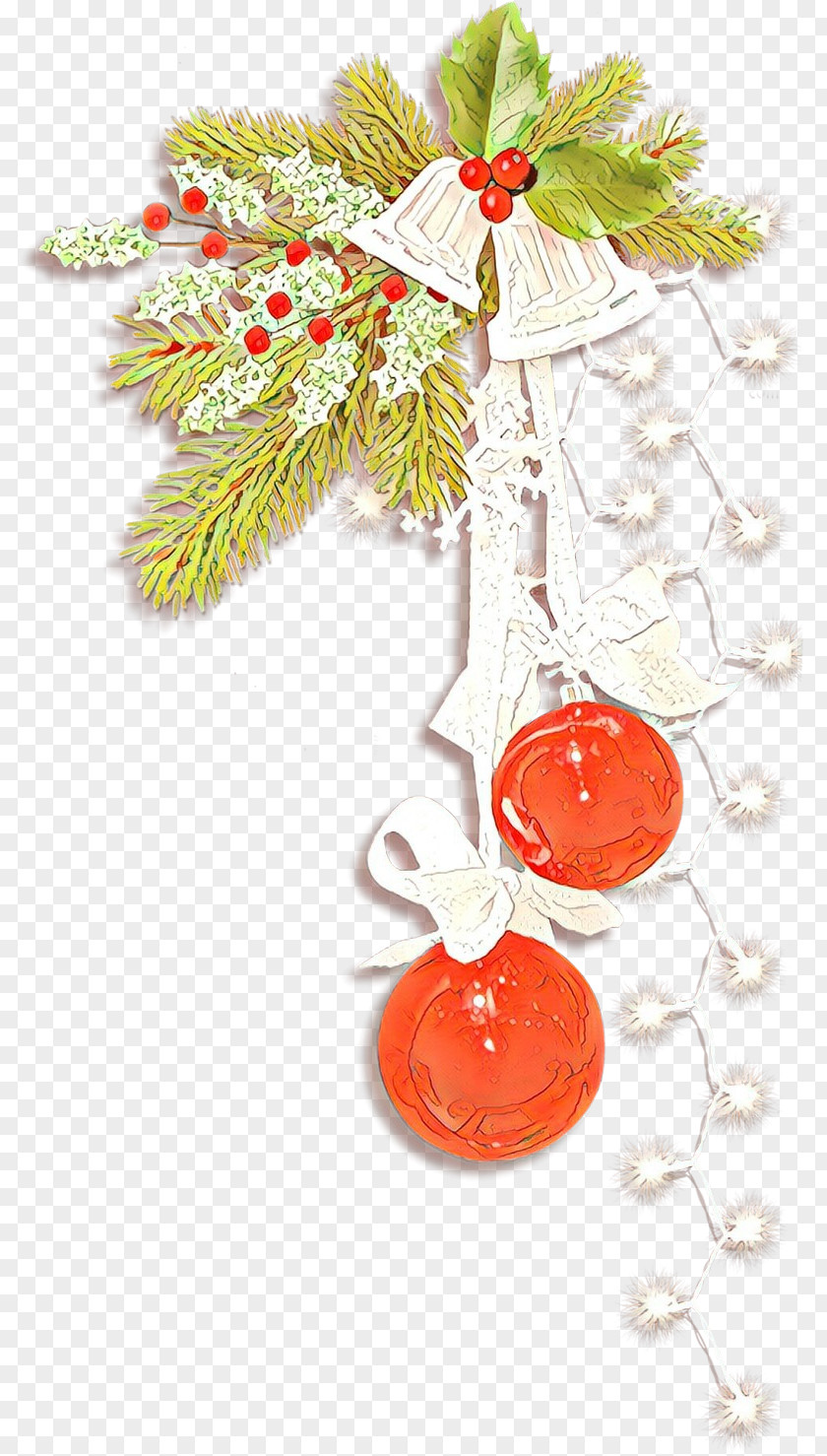 Fashion Accessory Plant Christmas Ornament PNG