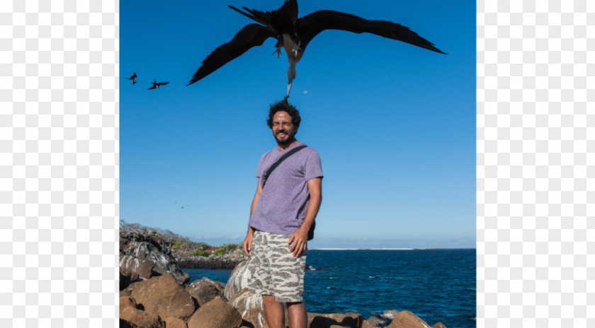 Geological Phenomenon North Seymour Island Galápagos Islands Caribbean Tourism PNG