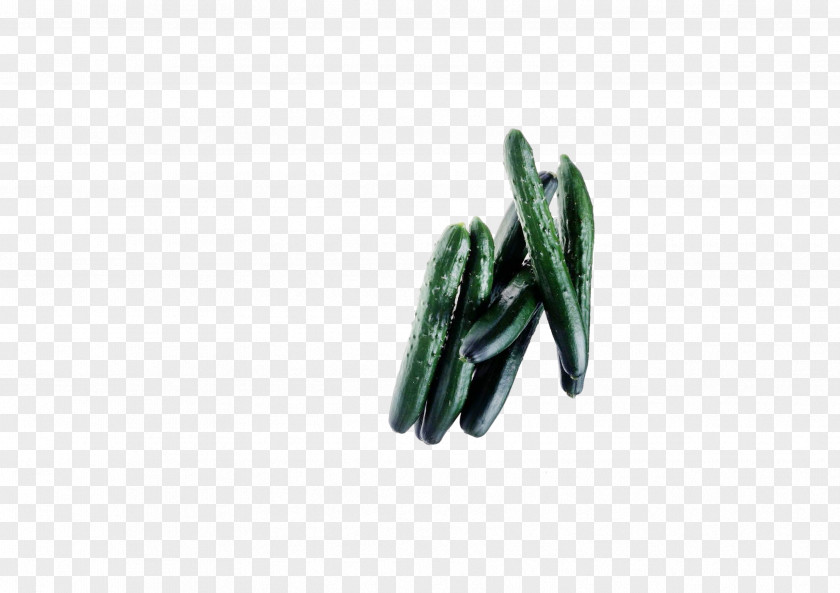 Green Cucumber Vegetable Download Clip Art PNG