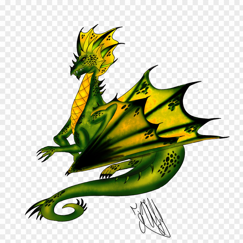 Leaf Dragon Tree Clip Art PNG