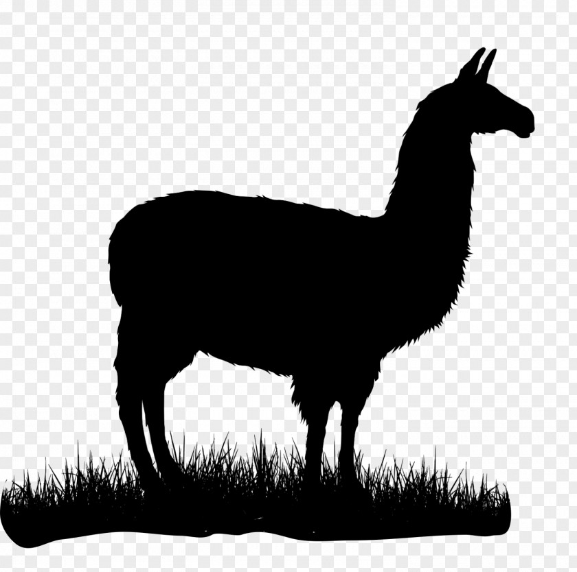 Alpaca T-shirt Llama Camel Silhouette PNG