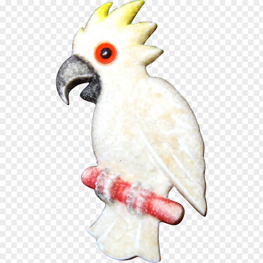 Cockatoo Cockatiel Bird Sulphur-crested Pet PNG