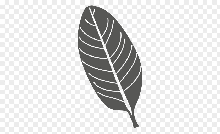 Leaf PNG