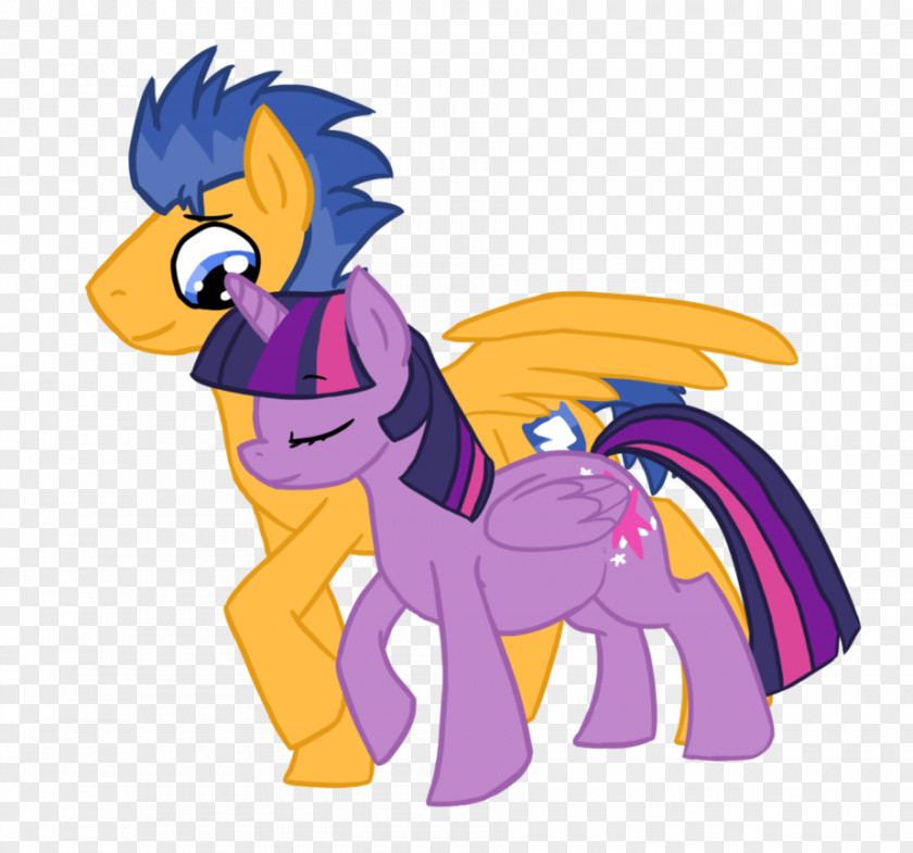 My Little Pony Twilight Sparkle Rainbow Dash Flash Sentry Applejack PNG