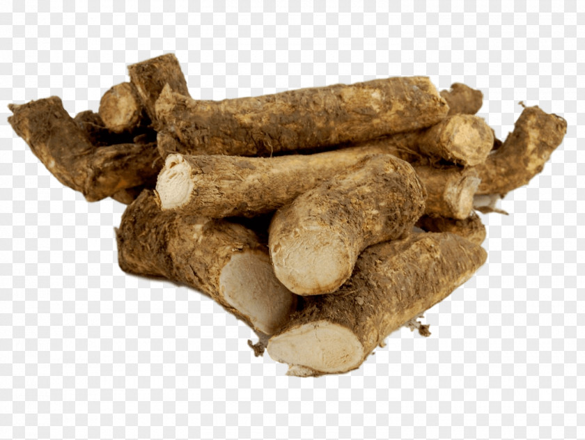 Plants Horseradish Root Ginger Food PNG