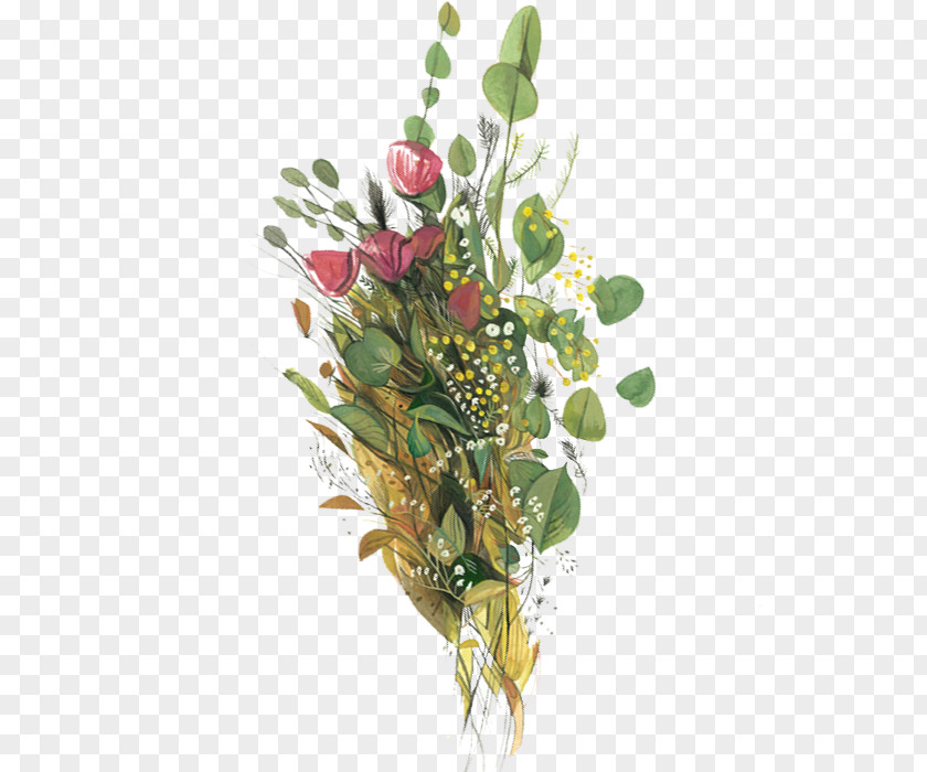 Floral Design Flower Illustration PNG