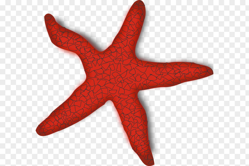 Free Download Starfish Images Clip Art PNG