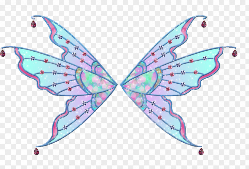 Heart Wing Butterfly Insect Pollinator PNG