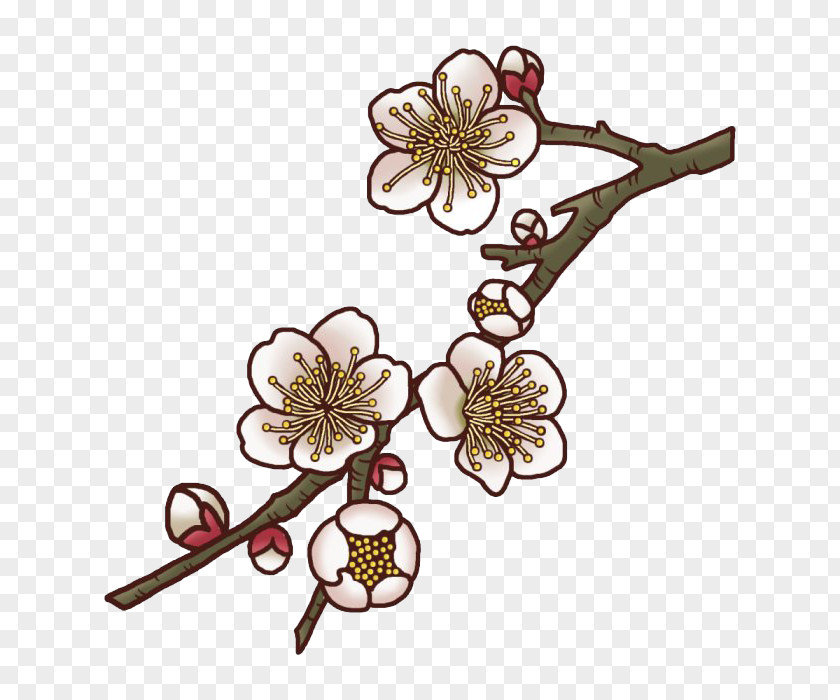 Plum Flower Blossom Illustration PNG