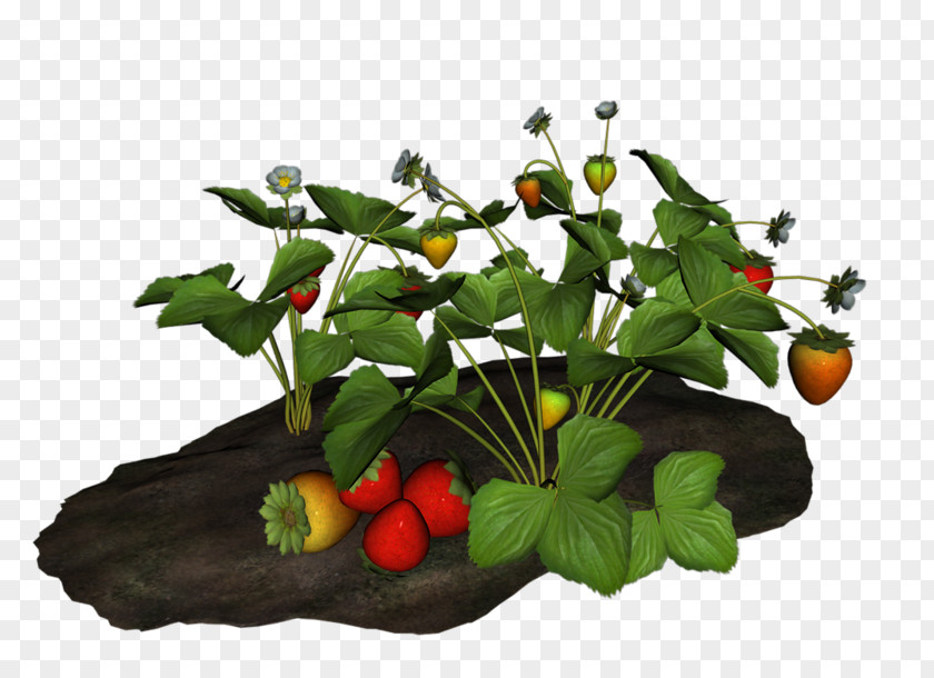 Floristry Vegetable Floral Plant PNG