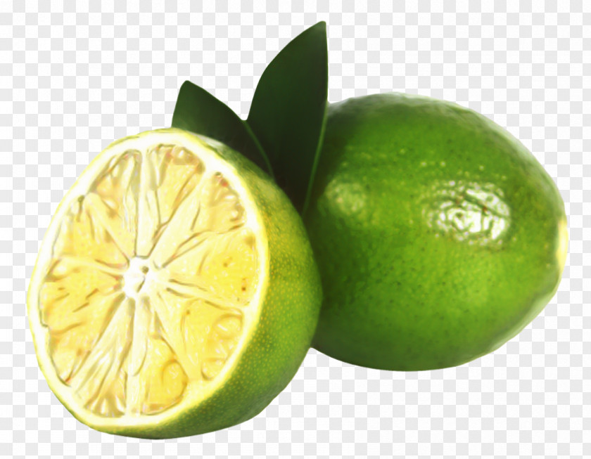 Grapefruit Ingredient Cartoon Lemon PNG