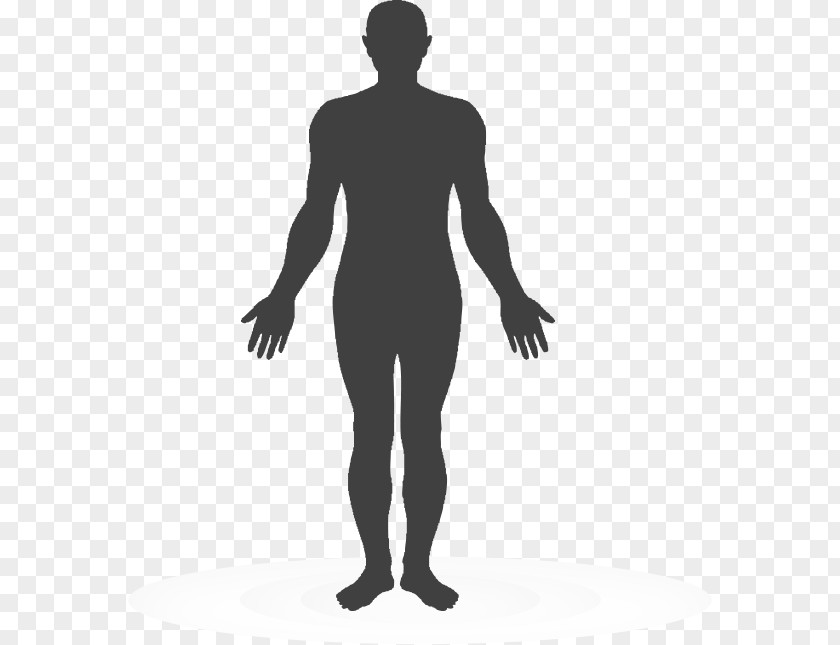 Human Body Royalty-free PNG